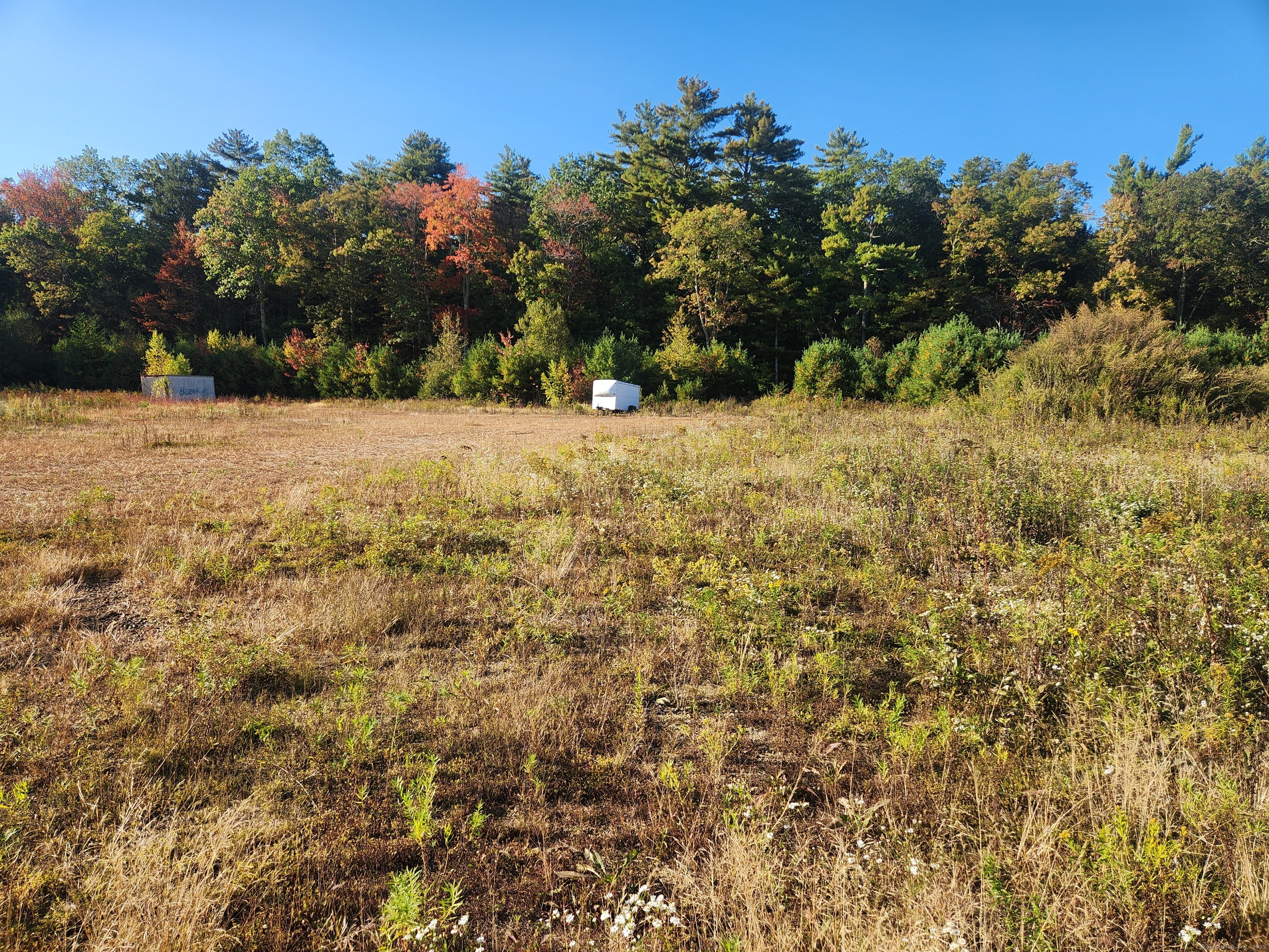 Rockledge Road Stafford Springs, CT 06076 - Photo 8 of 12 a view of a yard with trees