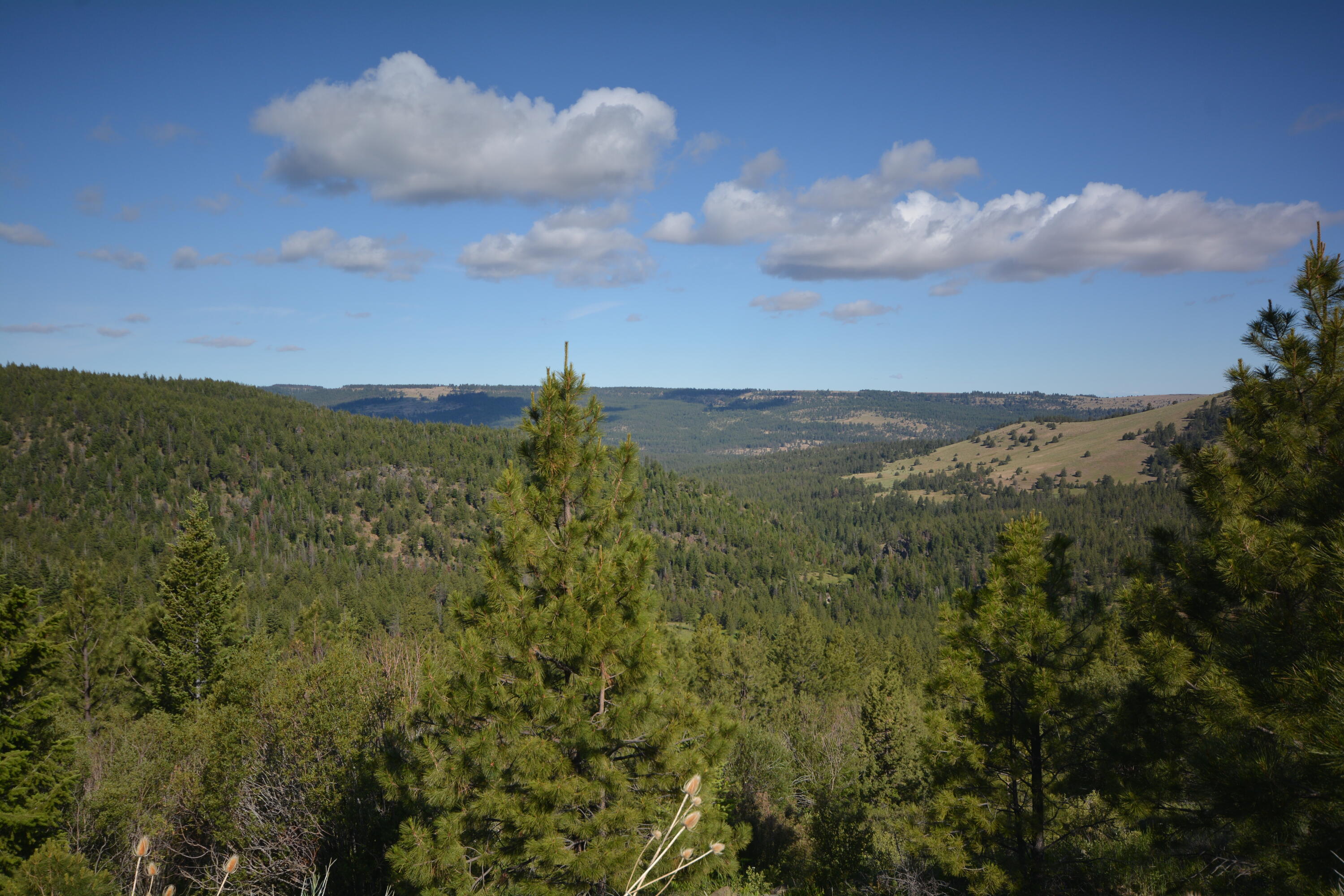 N/a Lonerock Road Fossil, OR 97830 - Photo 66 of 69 elk ranch oregon wineland lake hunting a