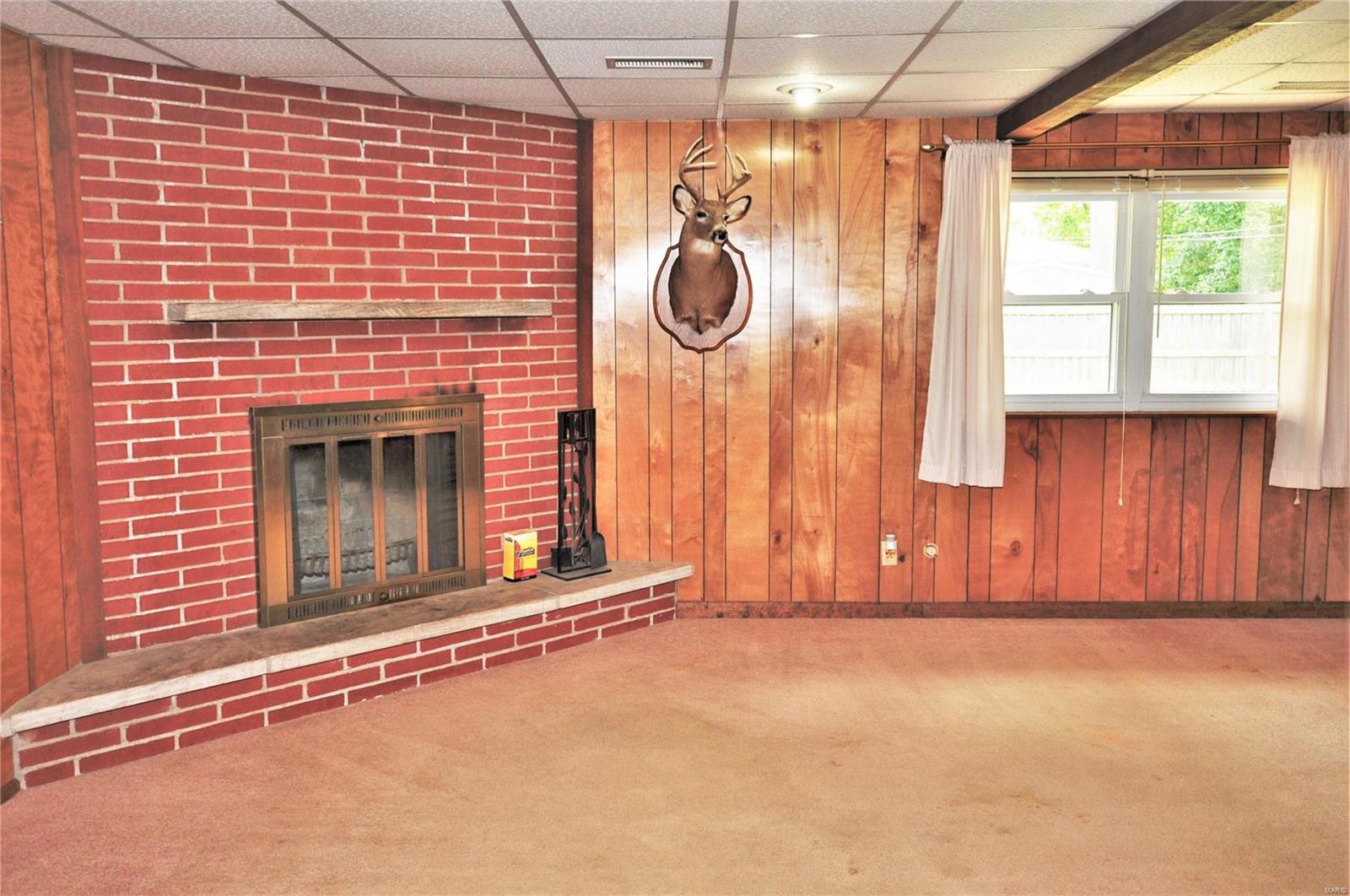 413 Blue Ridge Drive Belleville, IL 62223 - Photo 15 of 21 Gallery Image 15