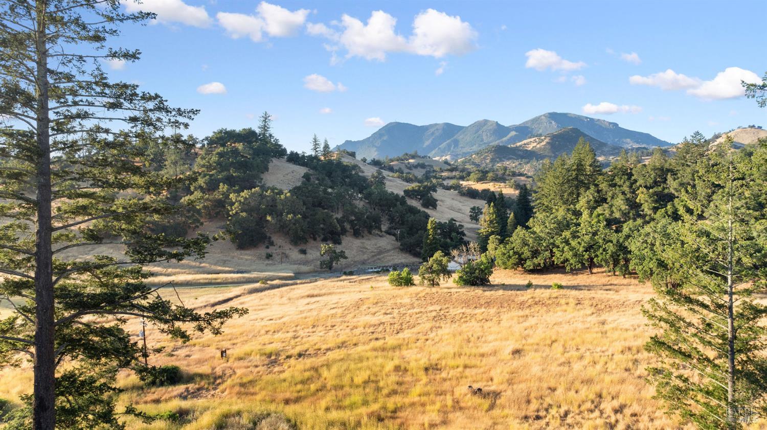 18907 Highway 128 Calistoga, CA 94515 - Photo 41 of 46 a view of large house with a yard
