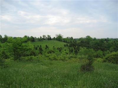 1111 Talmage-Mayo Road Harrodsburg, KY 40330 - Photo 4 of 12 Photo 4