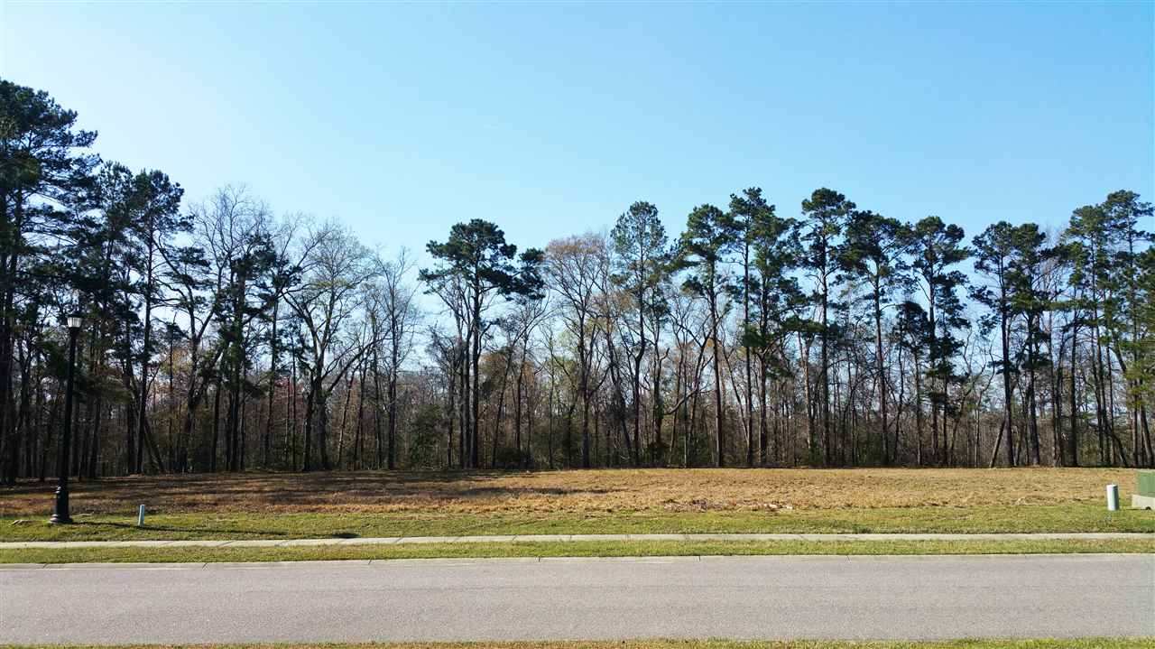 Lot 510 Chamberlin Road Myrtle Beach, SC 29588 - Photo 2 of 39 Gallery Image 2