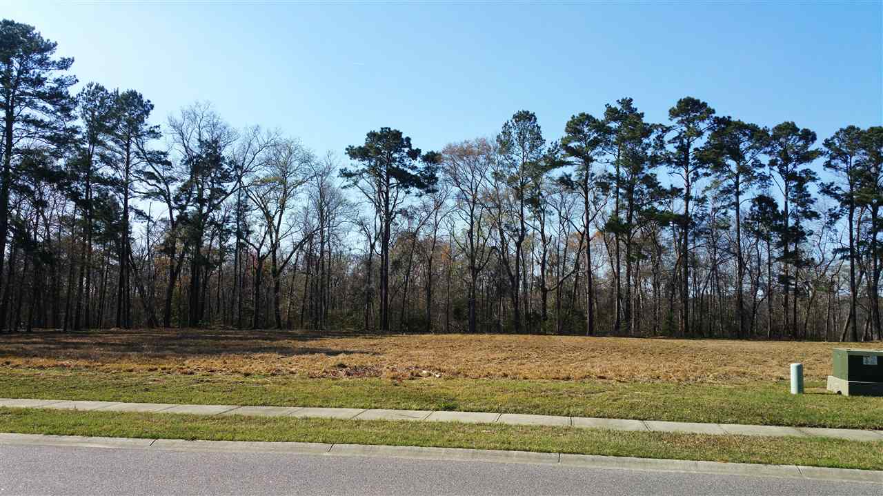 Lot 510 Chamberlin Road Myrtle Beach, SC 29588 - Photo 3 of 39 Gallery Image 3