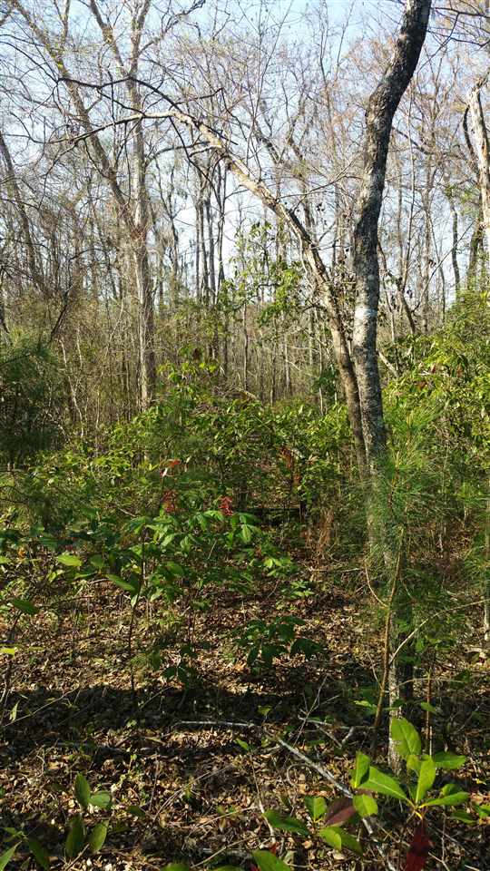 Lot 510 Chamberlin Road Myrtle Beach, SC 29588 - Photo 5 of 39 Gallery Image 5