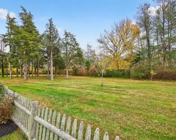 a yard with trees in the background