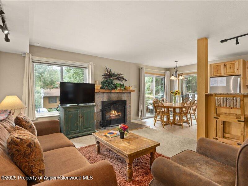 35 Lower Woodbridge Road, Unit 171 Snowmass Village, CO 81615 - Photo 1 of 12 01-35LowerWoodbridgeRd_T171_2507_0433