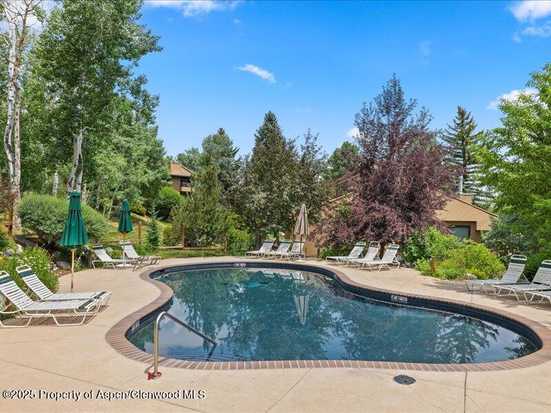 35 Lower Woodbridge Road, Unit 171 Snowmass Village, CO 81615 - Photo 12 of 12 12-35LowerWoodbridgeRd_T171_2507_0432