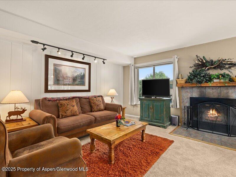 35 Lower Woodbridge Road, Unit 171 Snowmass Village, CO 81615 - Photo 2 of 12 02-35LowerWoodbridgeRd_T171_2507_0434