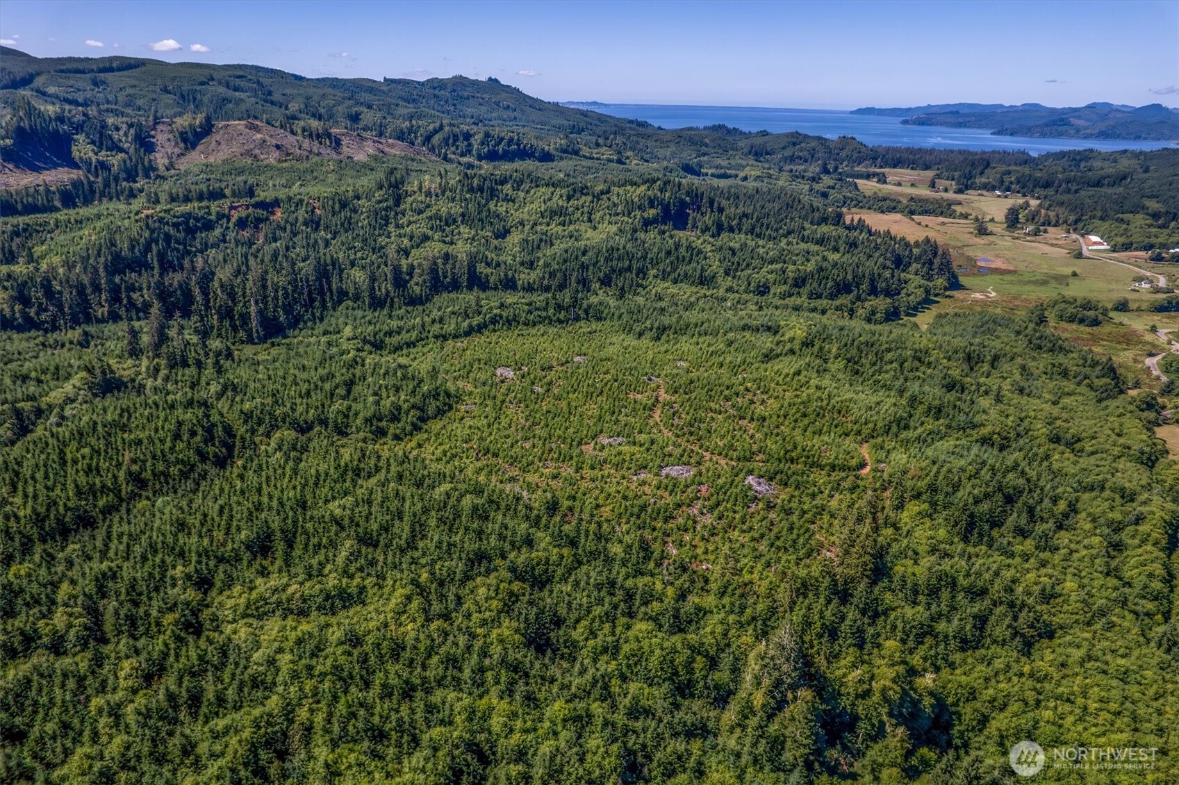 0 Eden Valley Road Rosburg, WA 98643 - Photo 1 of 14