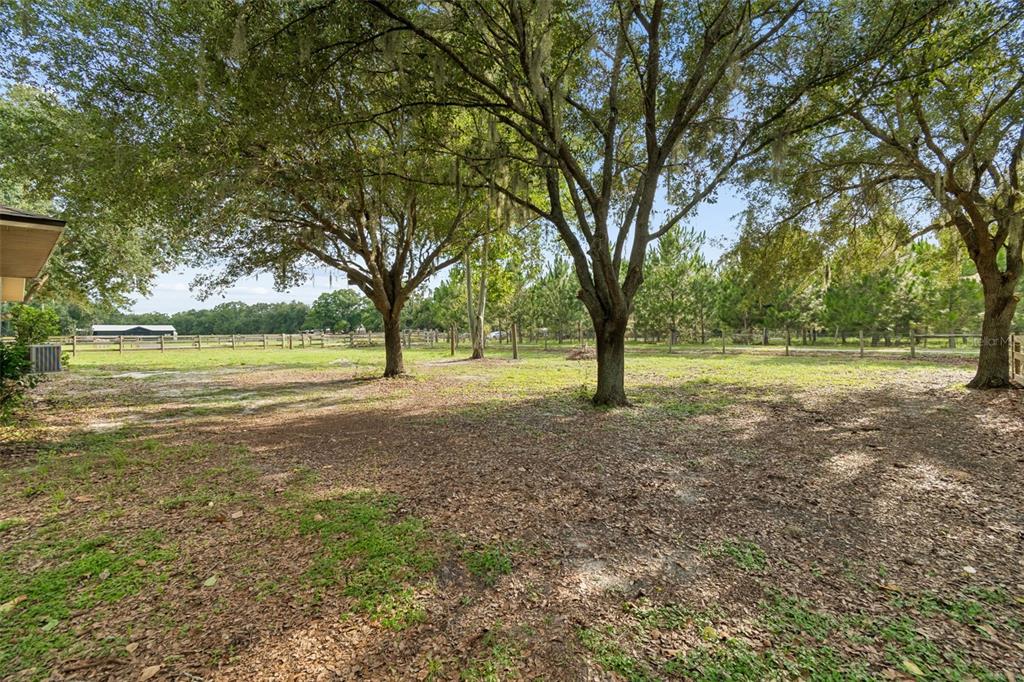 336 Corbett Road Lithia, FL 33547 - Photo 38 of 47