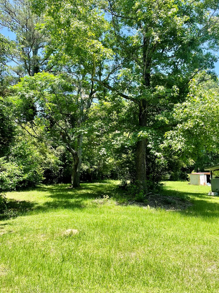 1540 Jones Road Cataula, GA 31804 - Photo 2 of 9 Gallery Image 2