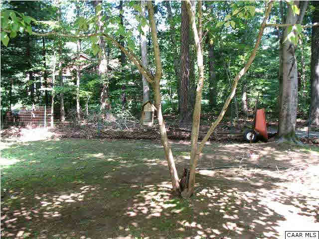 1419 Forest View Road Charlottesville, VA 22902 - Photo 8 of 37 Gallery Image 8
