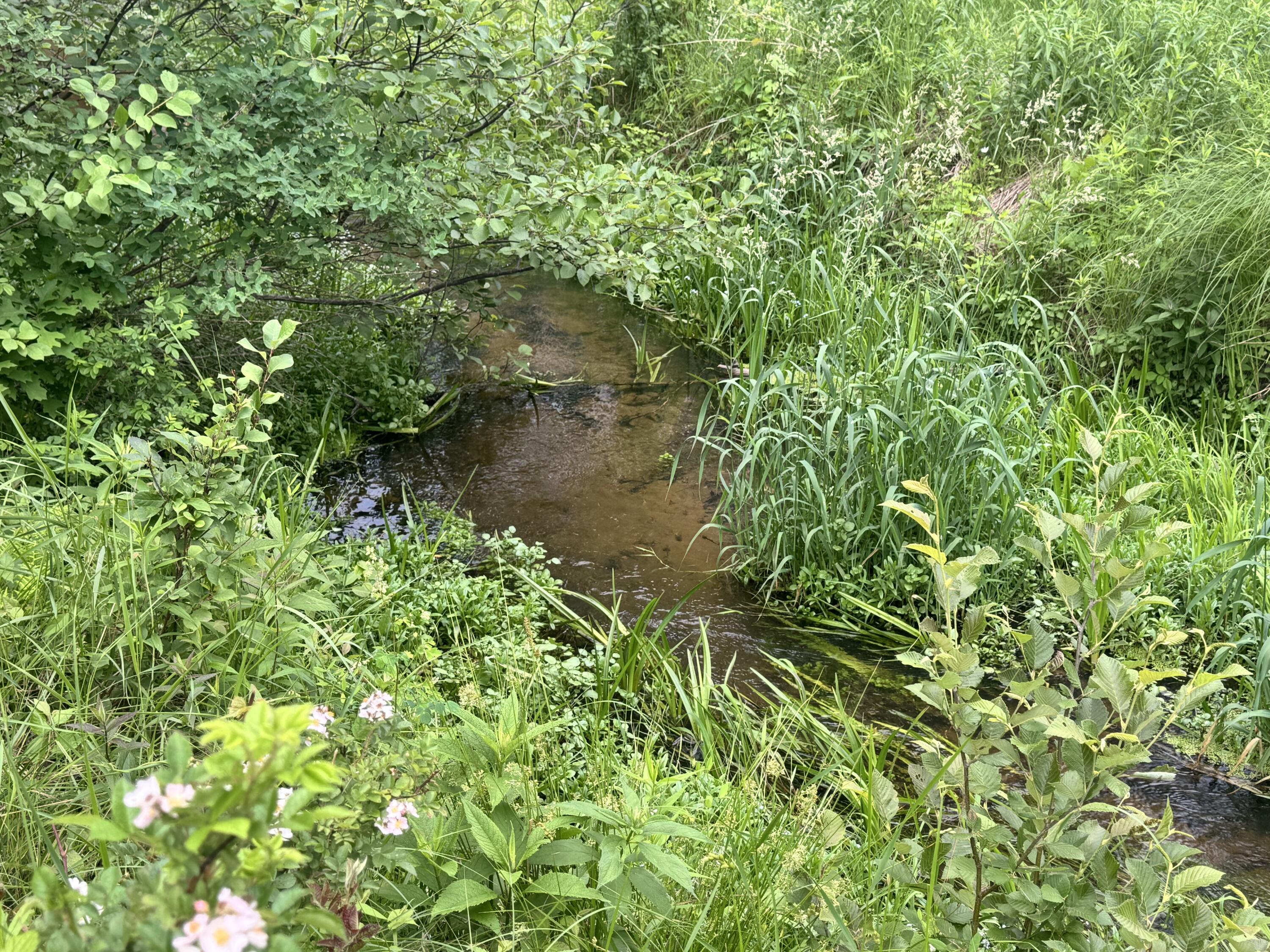 19030 West Almy Road Howard City, MI 49329 - Photo 21 of 30 IMG_0956