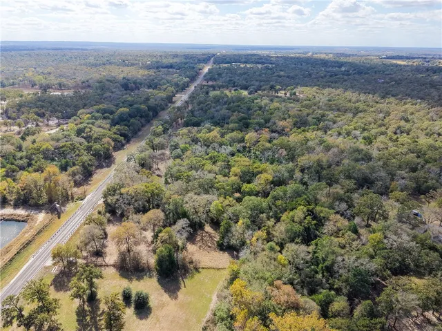 a view of a forest with a forest