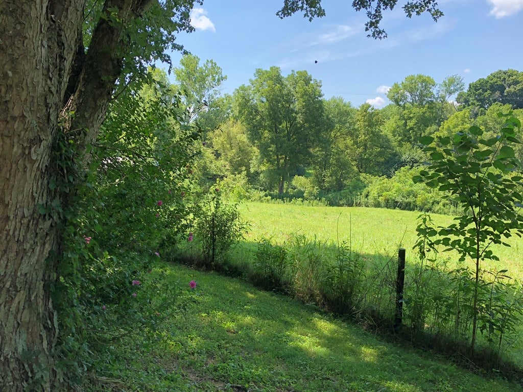 5221 Edmonton Road Glasgow, KY 42141 - Photo 4 of 23 Gallery Image 4