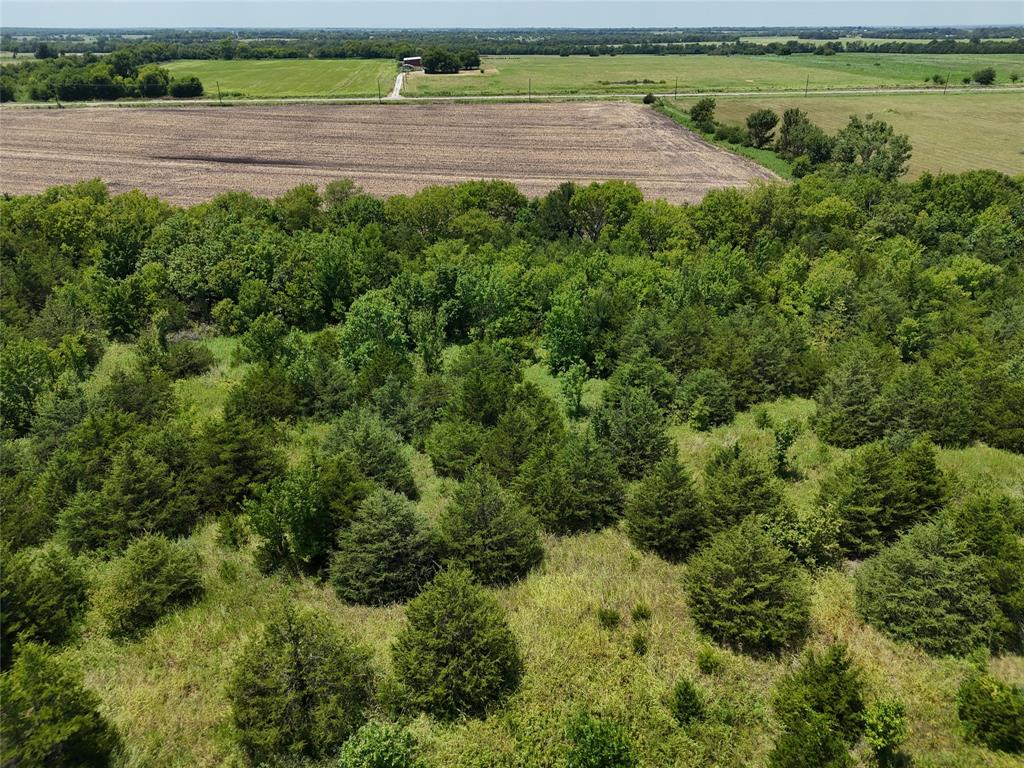20 Fm 2675 Cooper, TX 75432 - Photo 2 of 10 a view of a yard