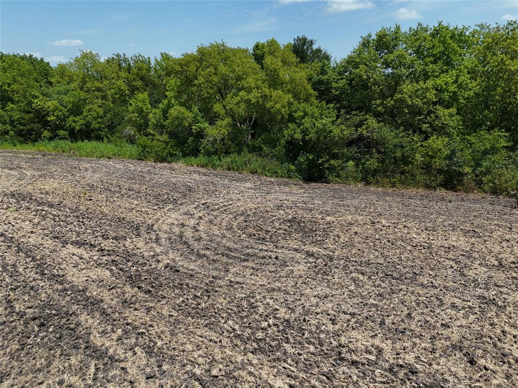20 Fm 2675 Cooper, TX 75432 - Photo 4 of 10 a view of a yard with a plant