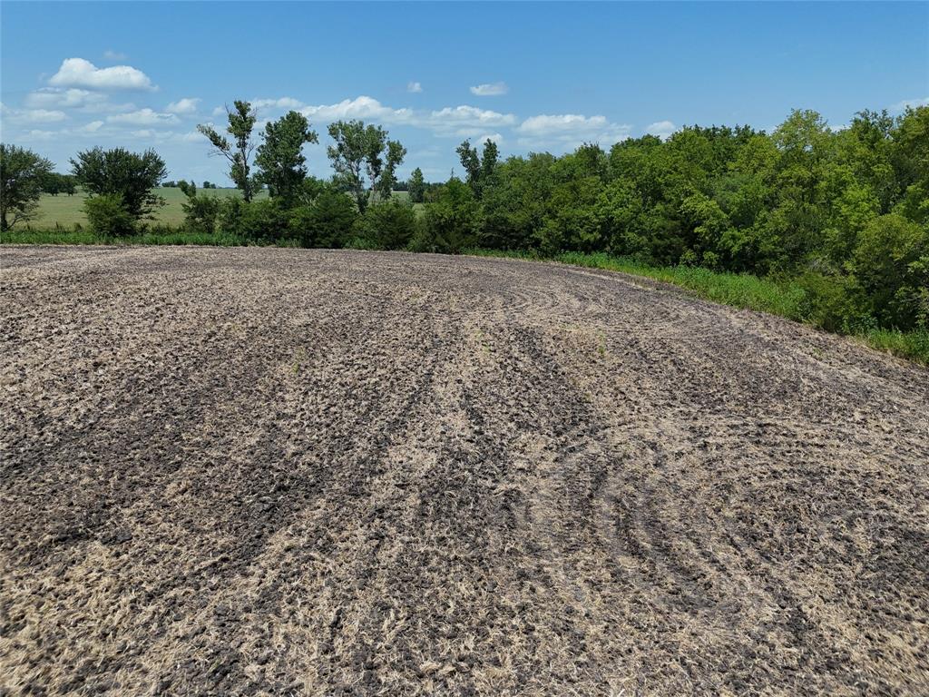 20 Fm 2675 Cooper, TX 75432 - Photo 5 of 10 a view of a field with trees in the background