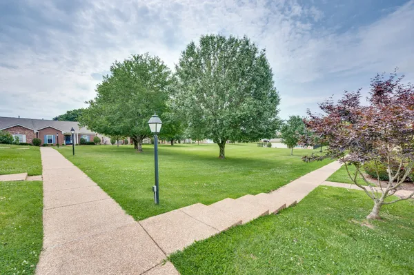 a view of a park with tree s