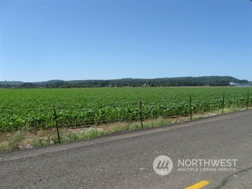 0 Brady Loop Road West Montesano, WA 98563 - Photo 1 of 1 Gallery Image 1