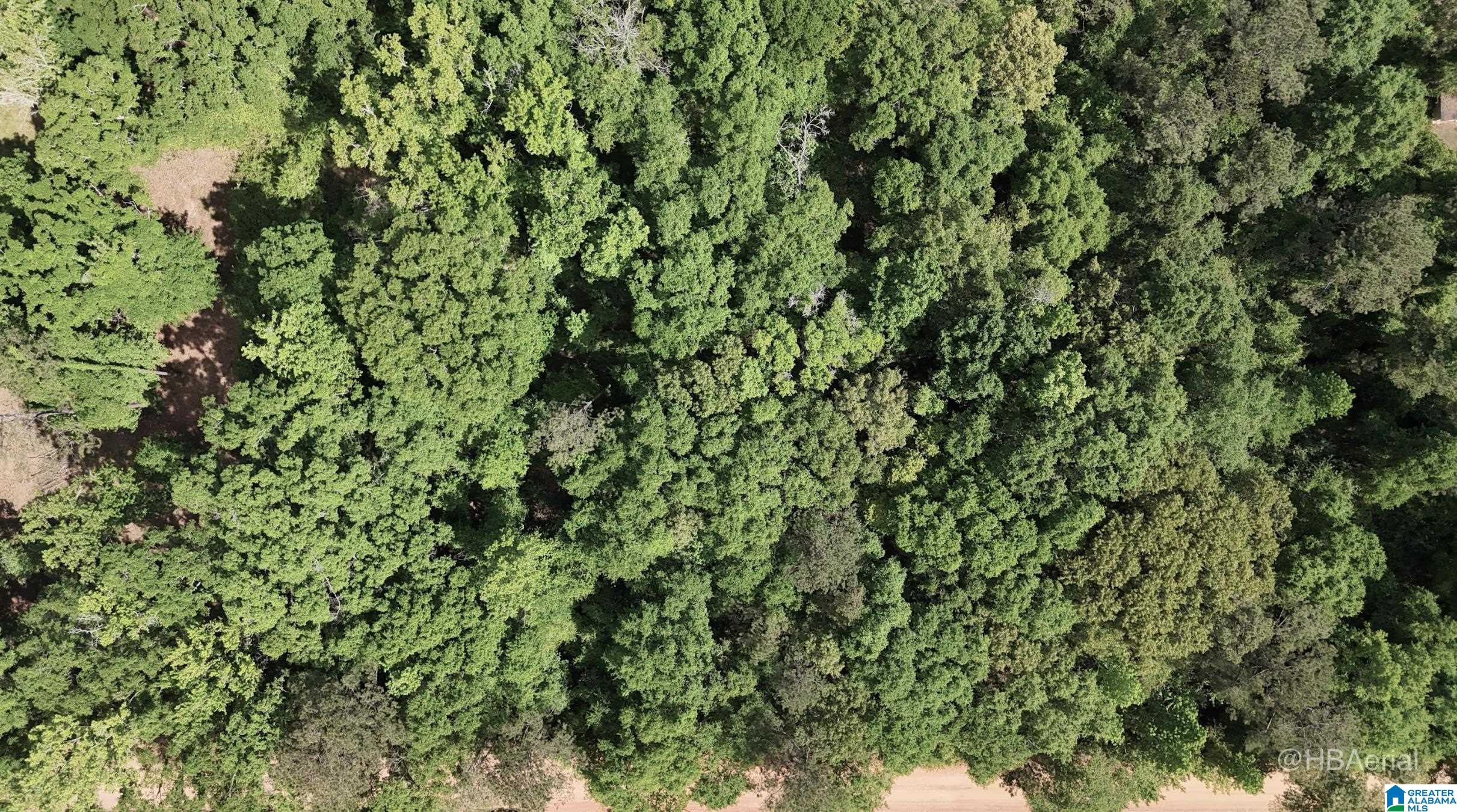Blueberry Road, Unit X Seale, AL 36875 - Photo 5 of 5