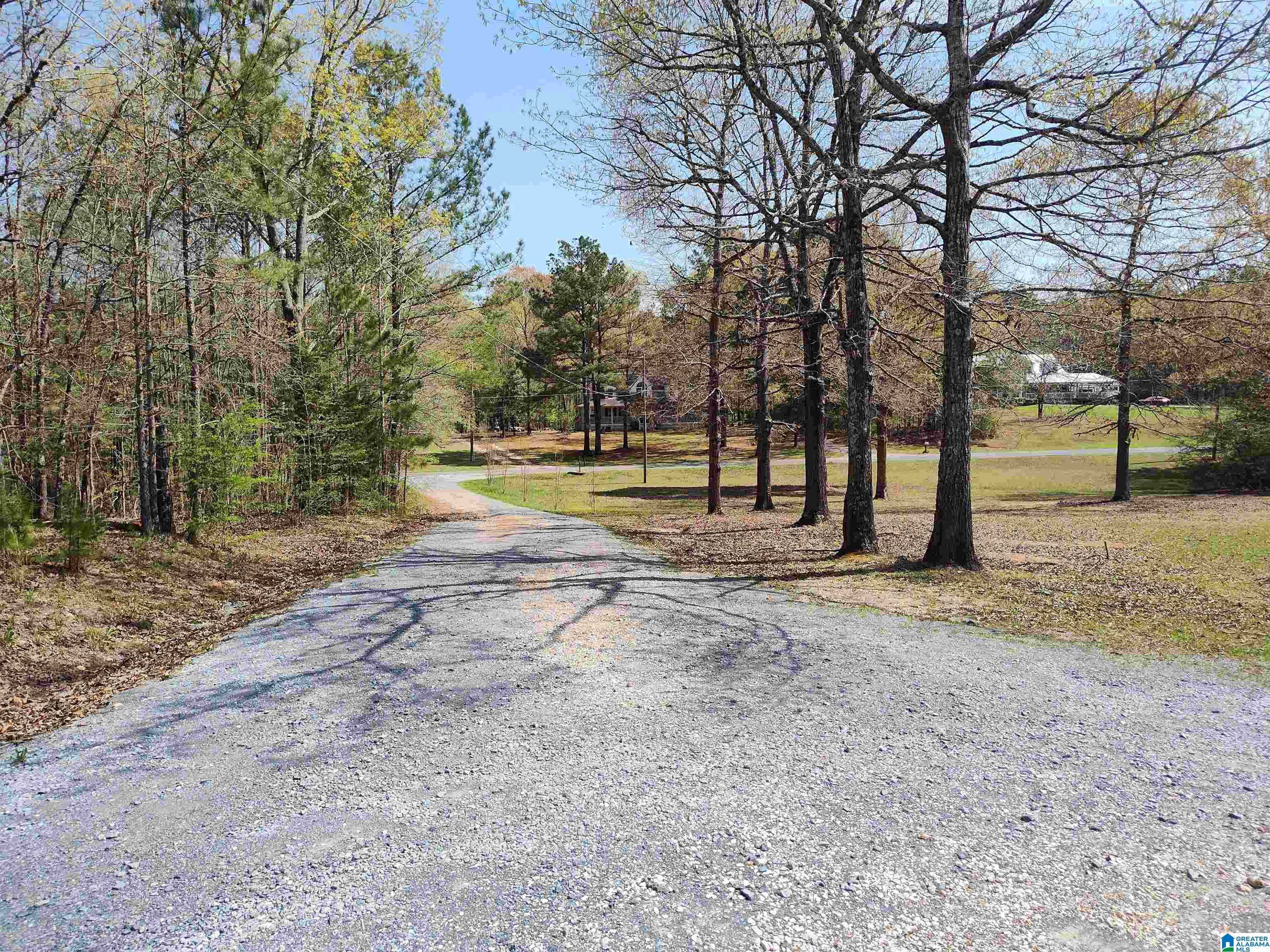 2101 Fulton Gap Road Sylacauga, AL 35150 - Photo 3 of 14