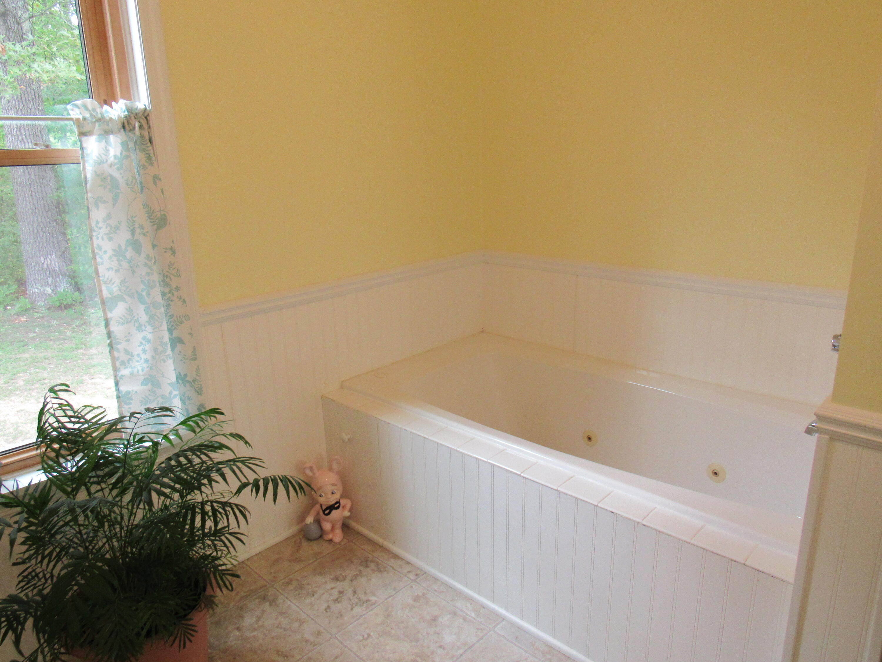 11412 Harris Road Montague, MI 49437 - Photo 36 of 43 Bathtub