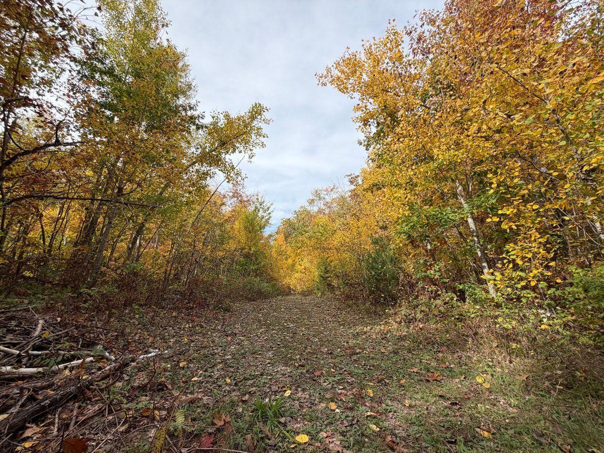 Tbd Estates Range Road Kerrick, MN 55756 - Photo 13 of 29 Gallery Image 13