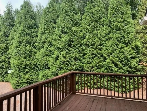 a white toilet sitting next to a toilet
