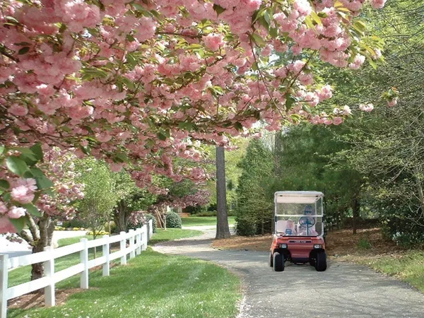 a group of people standing around on the side of a road