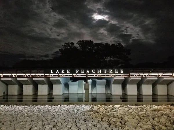 a sitting area with wooden bench and trees in the background