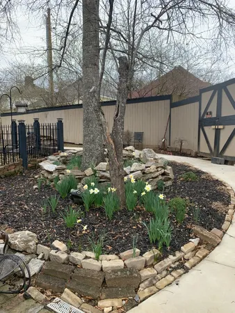 a view of backyard with green space