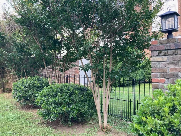 a view of a backyard with plants