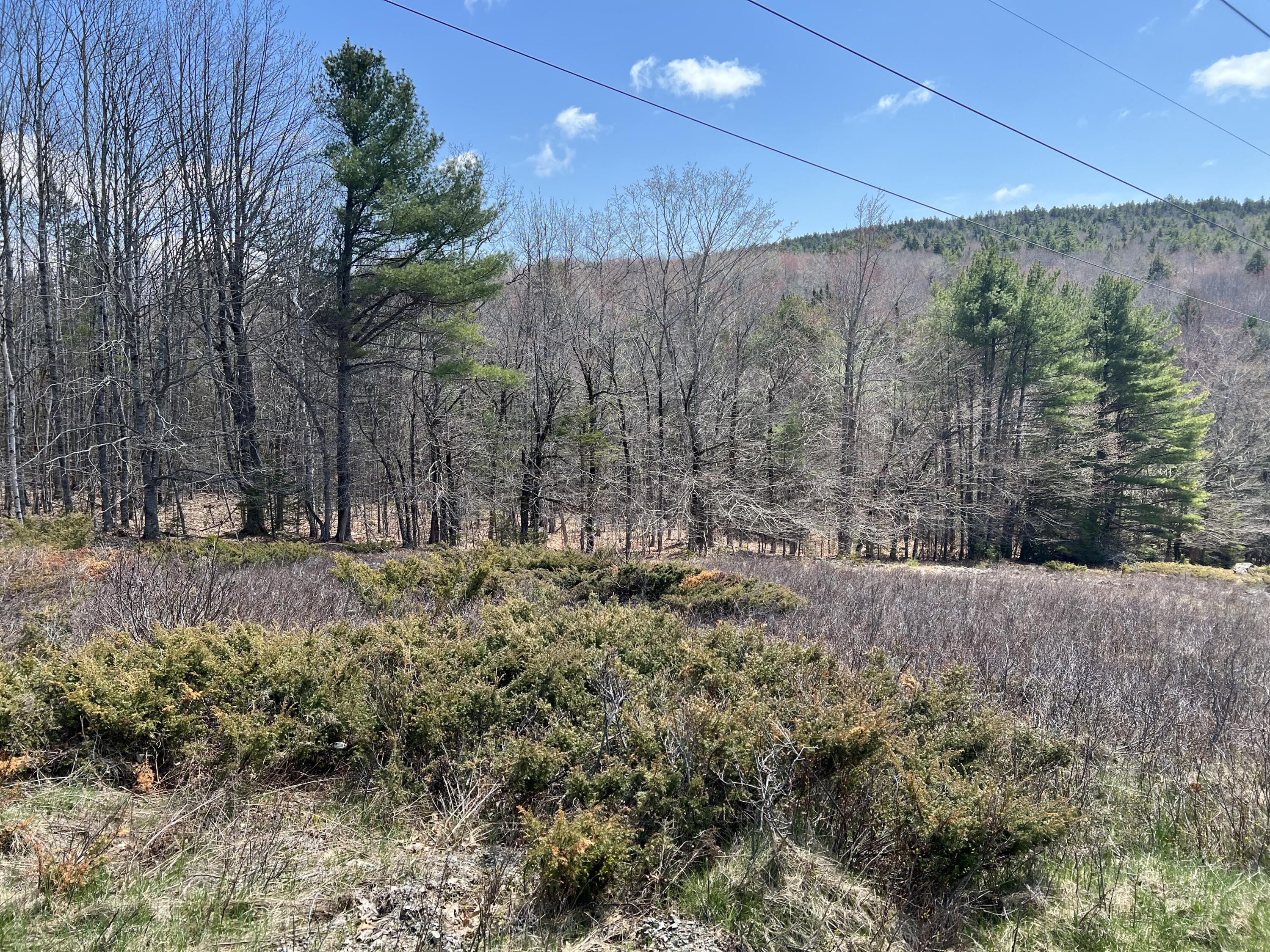 0 Hunk Sawyer Road Bucksport, ME 04416 - Photo 6 of 10 IMG_4609