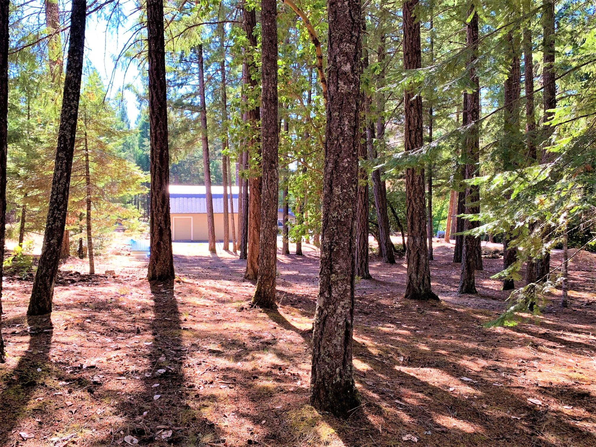 2793 Pleasant Creek Road Rogue River, OR 97537 - Photo 39 of 39 Property is super clean and is very welcoming.