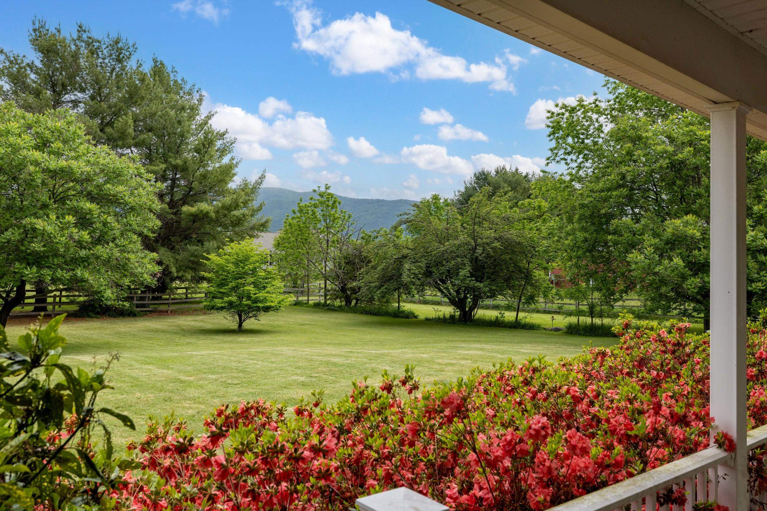 2810 Scenic Road Elkton, VA 22827 - Photo 54 of 75 Gallery Image 54