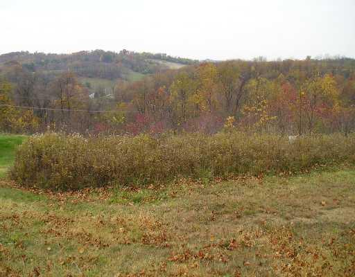 1177 Amity Ridge Road Amity, PA 15311 - Photo 8 of 9 Land.