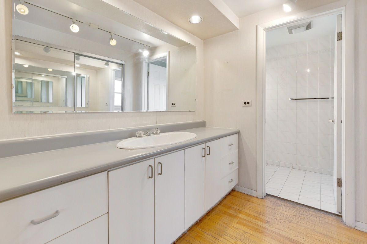 120 Ambleside Road Des Plaines, IL 60016 - Photo 15 of 22 a bathroom with a sink and a mirror