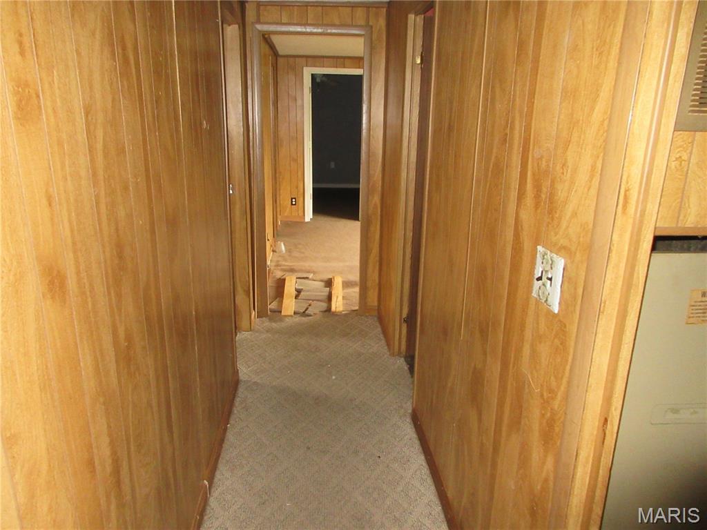 7080 Bee Branch Road Iuka, IL 62849 - Photo 10 of 40