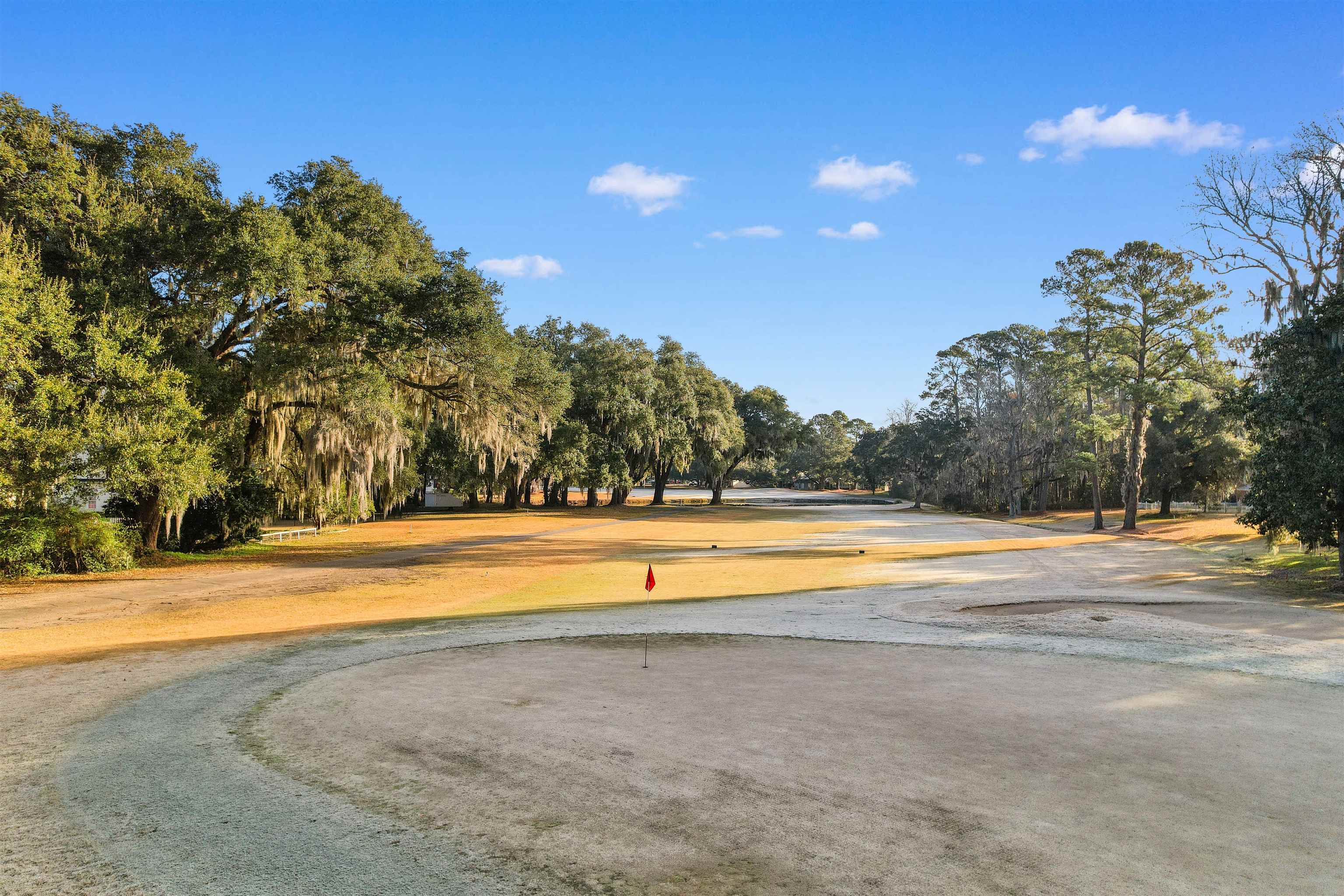 341 Wraggs Ferry Road Georgetown, SC 29440 - Photo 31 of 40