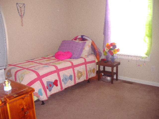 702 State Rd S-39-204 Pickens, SC 29671 - Photo 8 of 9