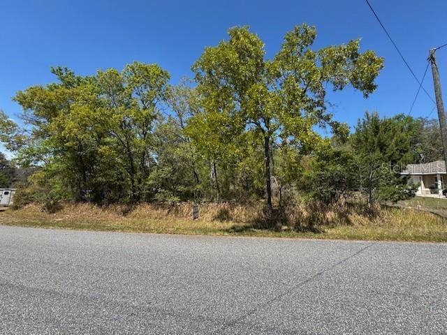 25 Elm Loop Ocala, FL 34472 - Photo 2 of 2 a view of a yard with a tree