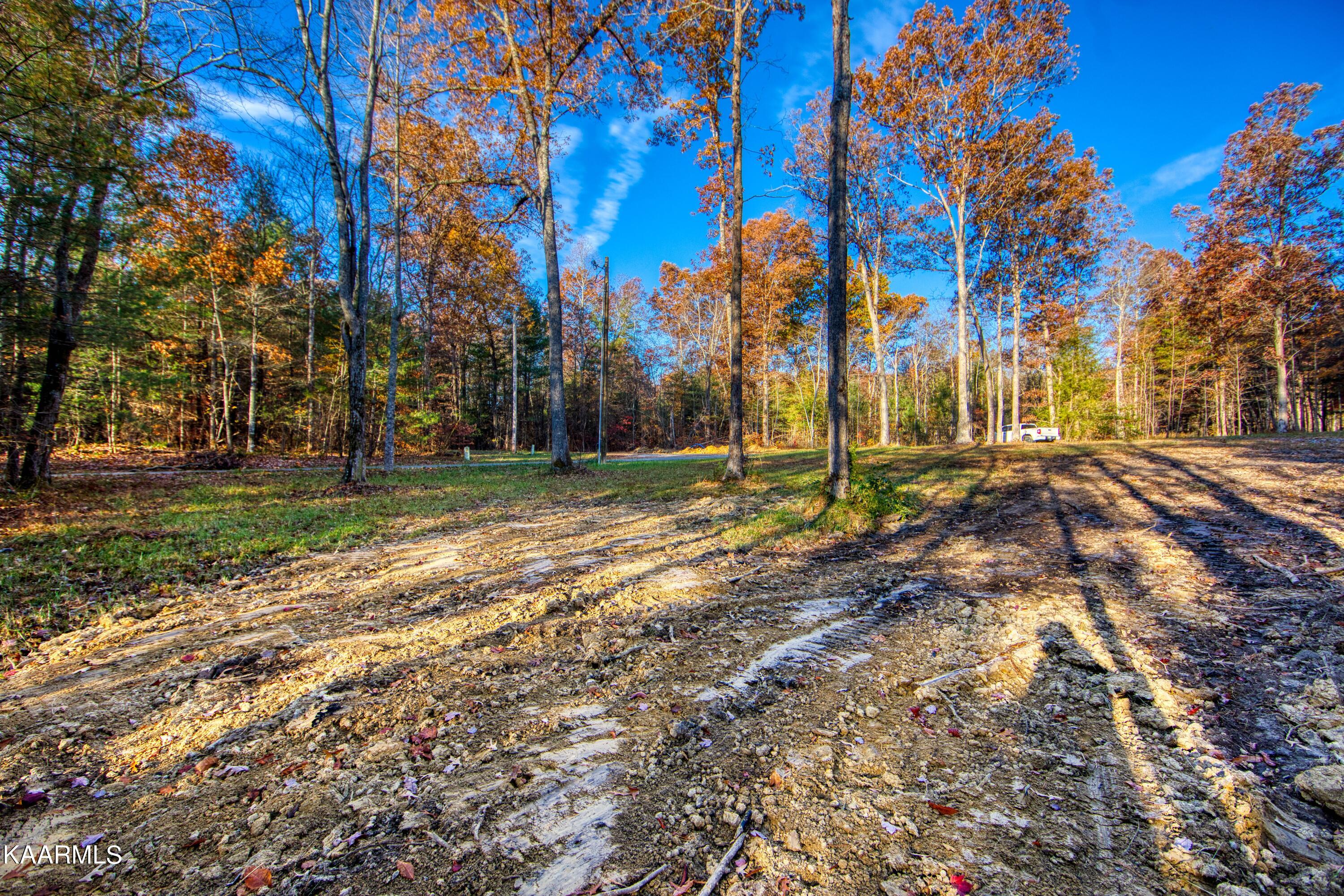 857 Cole Place Road Allardt, TN 38504 - Photo 8 of 9 EK3A5325