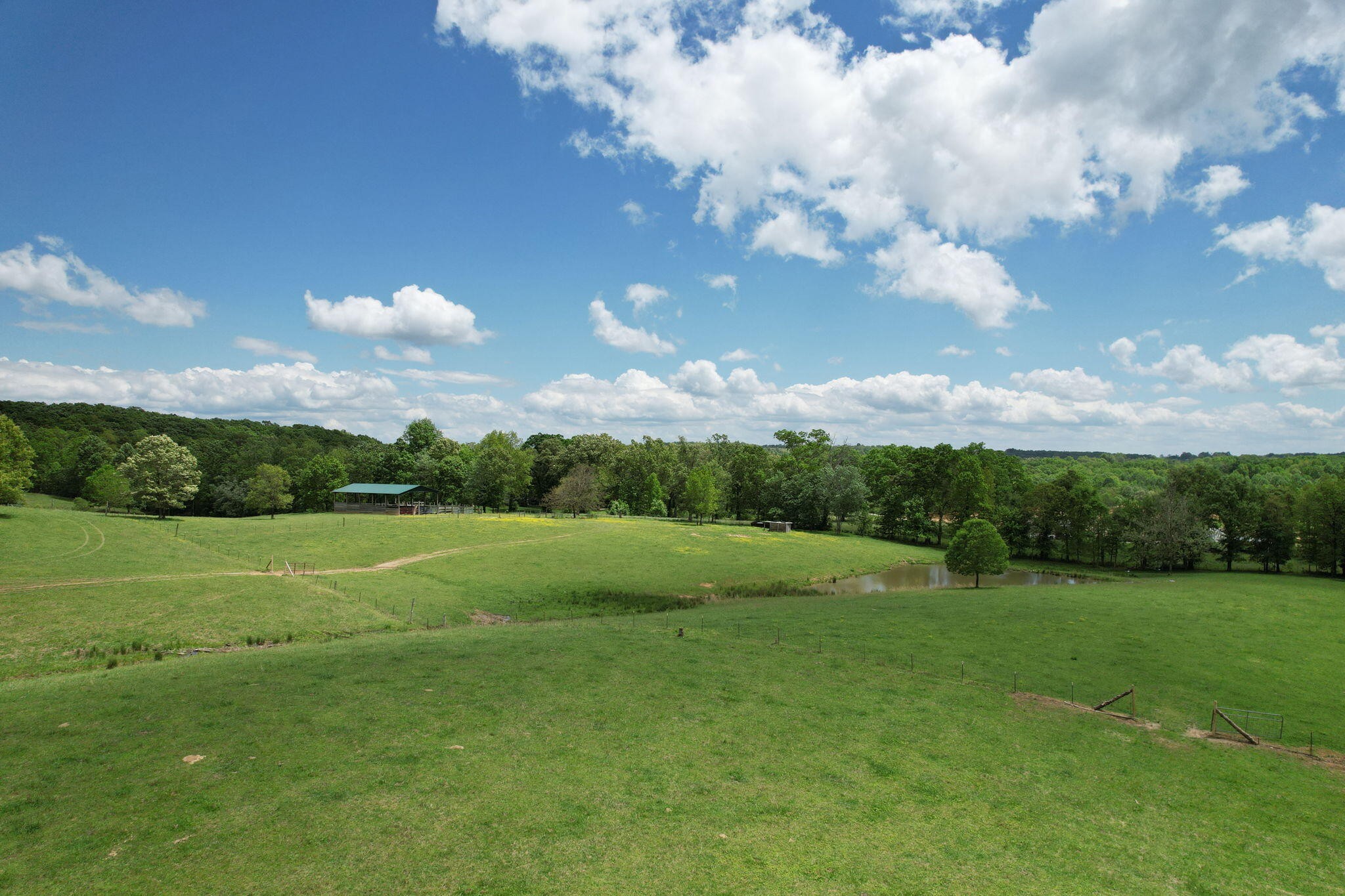 0 Summer City Firetower Road Pikeville, TN 37367 - Photo 6 of 16 Gallery Image 6