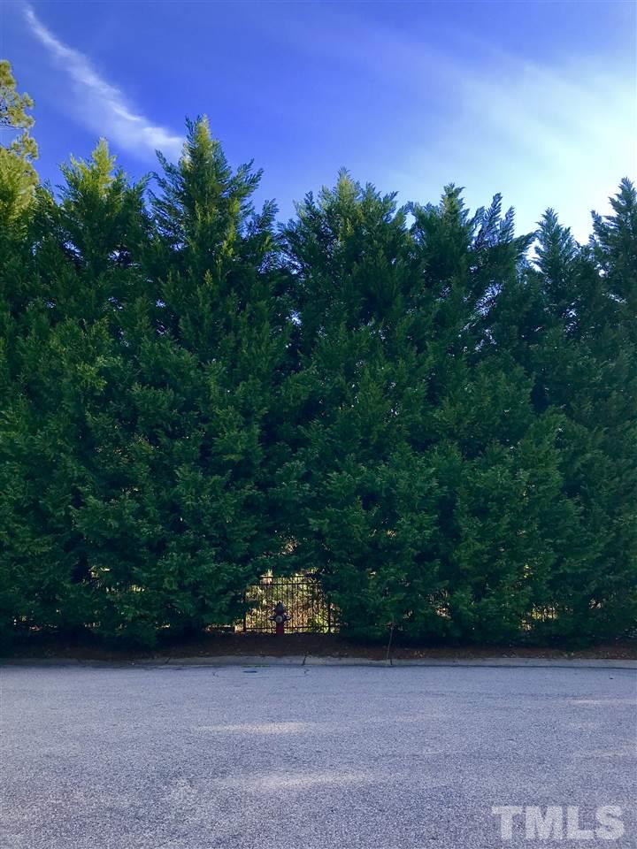 3409 Secretariat Way Raleigh, NC 27614 - Photo 29 of 30 No through traffic.