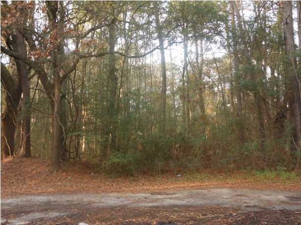 8036 Cedar Hall Road Edisto Island, SC 29438 - Photo 1 of 6 Primary Photo