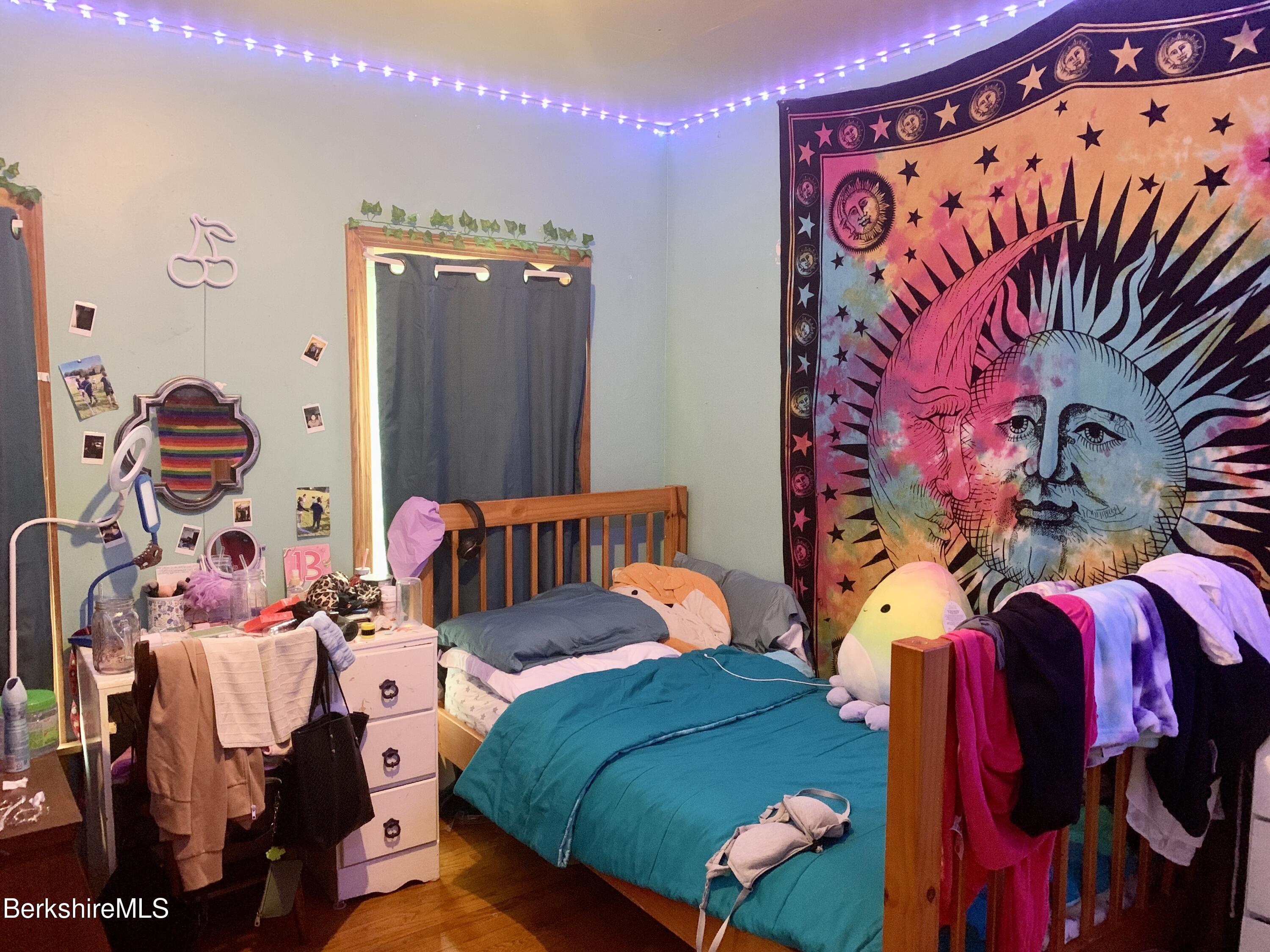 26 Springside Avenue Pittsfield, MA 01201 - Photo 16 of 24 IMG_3580 (2)