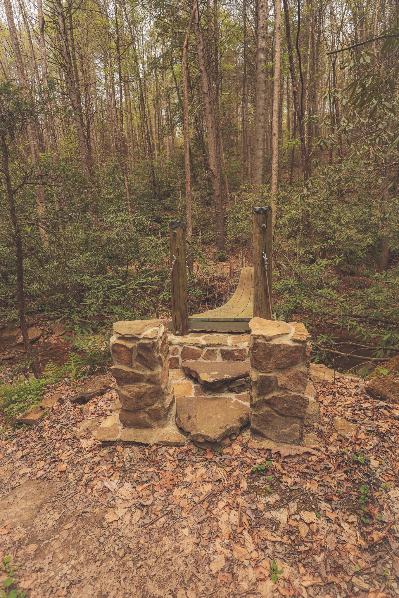 1854 Catoosa Road Wartburg, TN 37887 - Photo 12 of 100
