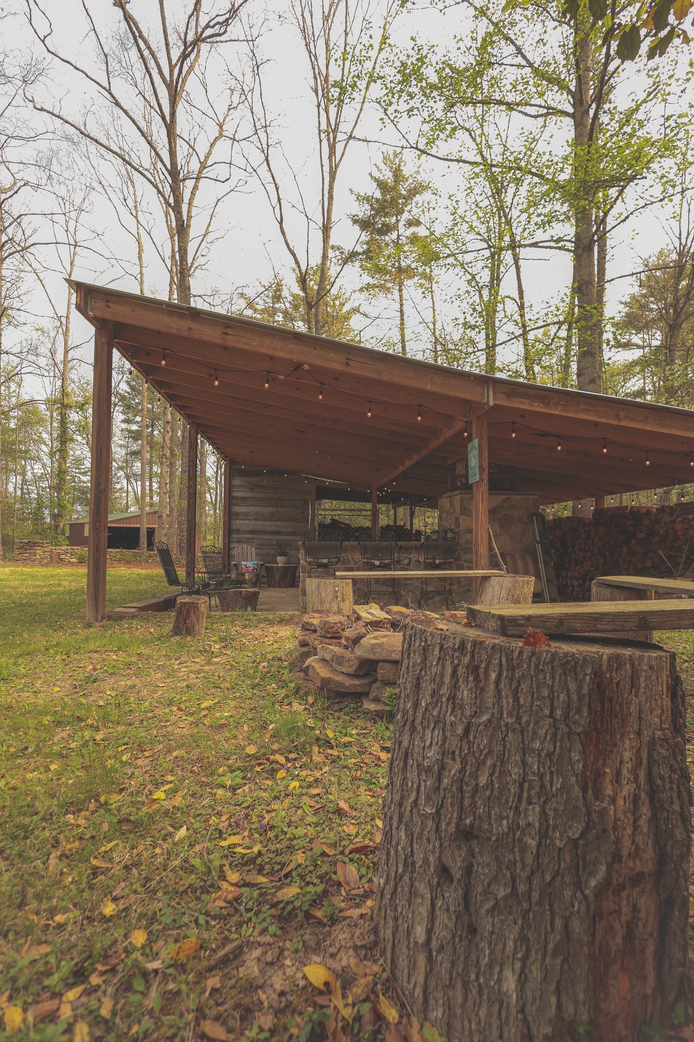 1854 Catoosa Road Wartburg, TN 37887 - Photo 22 of 100 a view of a house with a yard