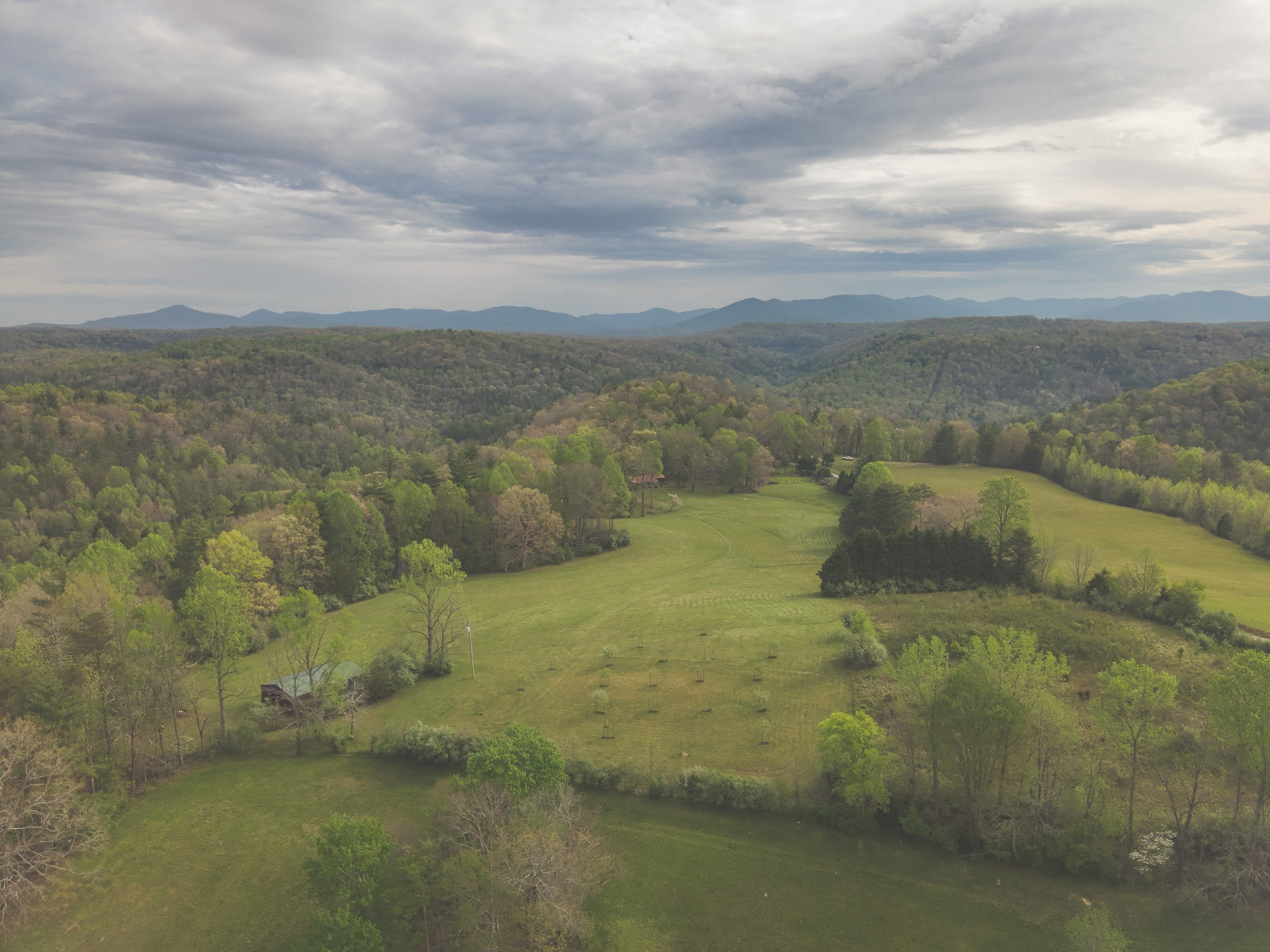 1854 Catoosa Road Wartburg, TN 37887 - Photo 3 of 100